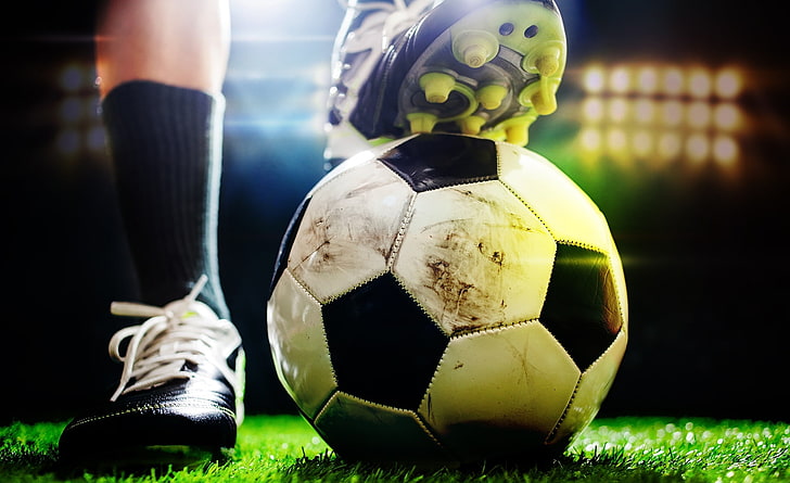 开元体育室内健身动作练腰